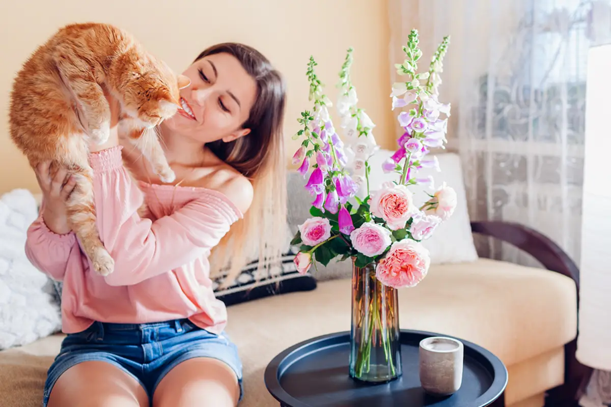 Renting to Pet Owners in Bullhead City: A Profitable Approach with Built-In Protection